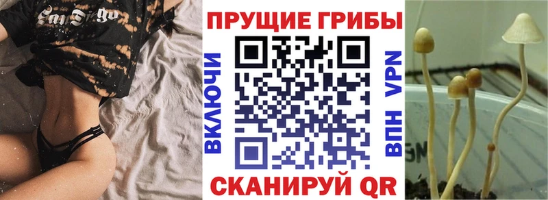 Псилоцибиновые грибы мухоморы  гидра онион  Ялта 