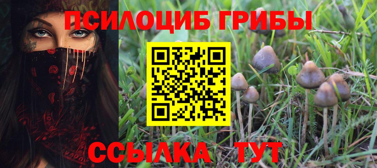 Галлюциногенные грибы Magic Shrooms Ялта